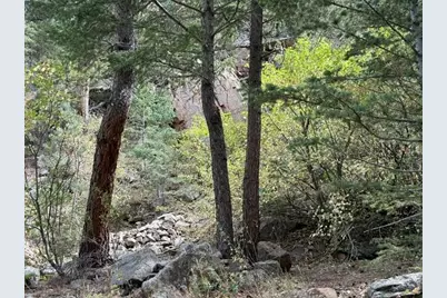 555 Riverside Dr, Lyons, CO 80540 - Photo 4