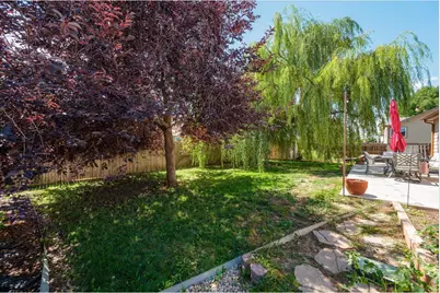 905 Scotch Pine Dr, Severance, CO 80550 - Photo 32