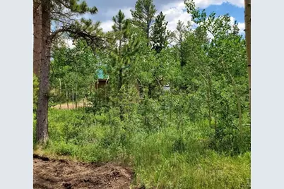 180 Yuki Dr, Red Feather Lakes, CO 80545 - Photo 6