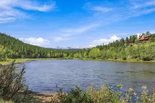 563 Pine Cone Cir, Ward, CO 80481 - Photo 42