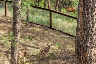 166 Cherokee Rd, Lyons, CO 80540 - Photo 6