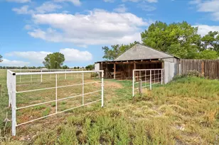 4526 E County Rd 64, Wellington, CO 80549 - Photo 10