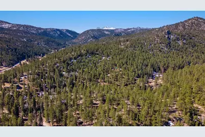 105 Fox Creek Rd, Glen Haven, CO 80532 - Photo 4