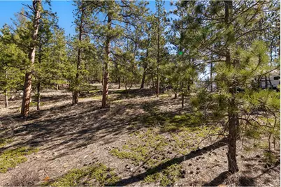 105 Fox Creek Rd, Glen Haven, CO 80532 - Photo 40