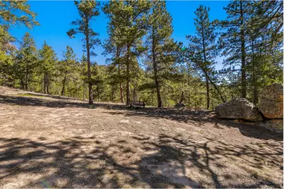 105 Fox Creek Rd, Glen Haven, CO 80532 - Photo 8