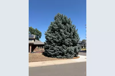 4501 23rd St, Greeley, CO 80634 - Photo 4