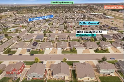 3858 Eucalyptus St, Wellington, CO 80549 - Photo 42