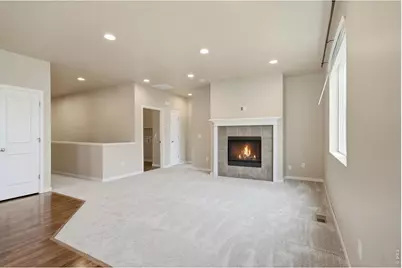 3858 Eucalyptus St, Wellington, CO 80549 - Photo 10