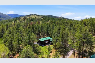 102 Insmont Dr, Bailey, CO 80421 - Photo 8