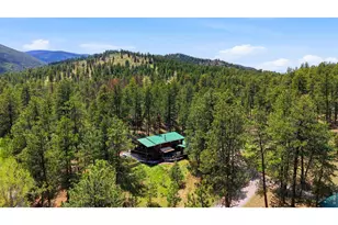 102 Insmont Dr, Bailey, CO 80421 - Photo 8