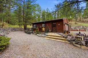 102 Insmont Dr, Bailey, CO 80421 - Photo 38