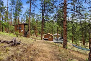 102 Insmont Dr, Bailey, CO 80421 - Photo 40