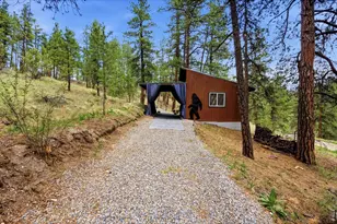 102 Insmont Dr, Bailey, CO 80421 - Photo 40