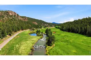 102 Insmont Dr, Bailey, CO 80421 - Photo 8