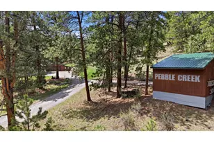 102 Insmont Dr, Bailey, CO 80421 - Photo 6