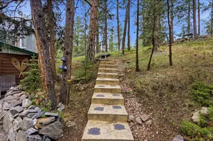 102 Insmont Dr, Bailey, CO 80421 - Photo 44