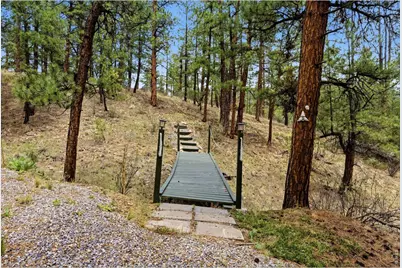 102 Insmont Dr, Bailey, CO 80421 - Photo 44