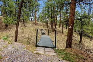 102 Insmont Dr, Bailey, CO 80421 - Photo 44