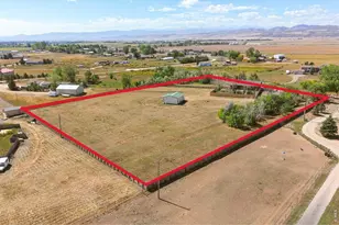 13120 Palomino Pl, Wellington, CO 80549 - Photo 44