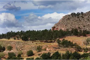 1019 Horizon Dr, Lyons, CO 80540 - Photo 40