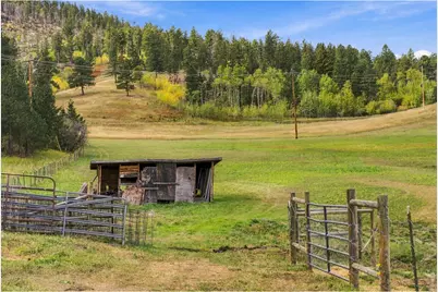 14133 Rist Canyon Rd, Bellvue, CO 80512 - Photo 10