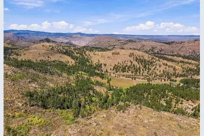 14133 Rist Canyon Rd, Bellvue, CO 80512 - Photo 28