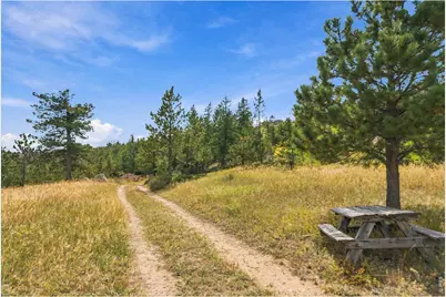14133 Rist Canyon Rd, Bellvue, CO 80512 - Photo 42