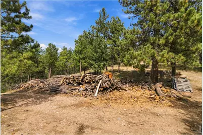14133 Rist Canyon Rd, Bellvue, CO 80512 - Photo 30