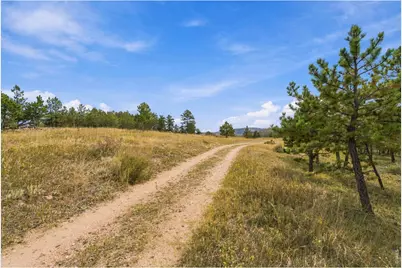 14133 Rist Canyon Rd, Bellvue, CO 80512 - Photo 40