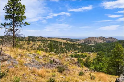 14133 Rist Canyon Rd, Bellvue, CO 80512 - Photo 38