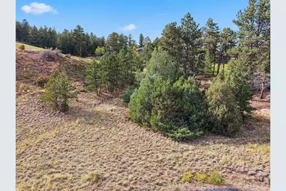 Tbd Juniper Ct, Red Feather Lakes, CO 80545 - Photo 6