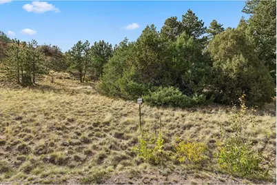 Tbd Juniper Ct, Red Feather Lakes, CO 80545 - Photo 4