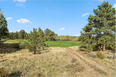 Tbd Juniper Ct, Red Feather Lakes, CO 80545 - Photo 14