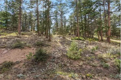 Tbd Juniper Ct, Red Feather Lakes, CO 80545 - Photo 12