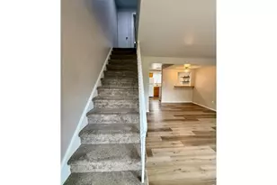 221 Chestnut St, Windsor, CO 80550 - Photo 4