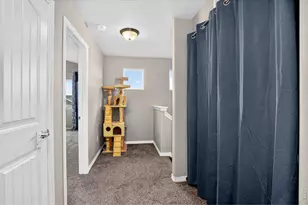 1832 Ruddlesway Dr, Windsor, CO 80550 - Photo 30