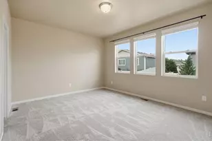3858 Eucalyptus St, Wellington, CO 80549 - Photo 20