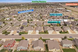 3858 Eucalyptus St, Wellington, CO 80549 - Photo 36
