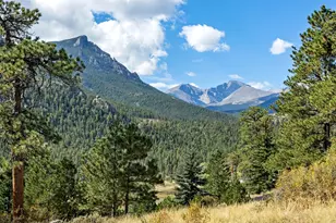 3441 St Francis Way, Estes Park, CO 80517 - Photo 4