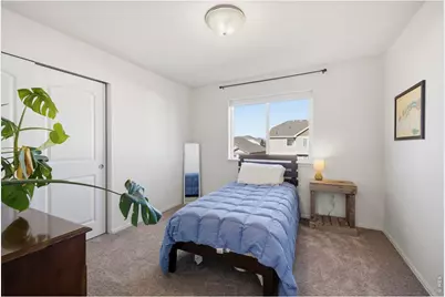 1662 Thrive Dr, Windsor, CO 80550 - Photo 20