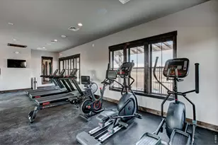 6226 Vernazza Way, Windsor, CO 80550 - Photo 24