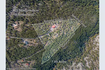 401 Shady Holw, Nederland, CO 80466 - Photo 8