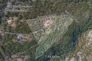 401 Shady Hollow, Nederland, CO 80466 - Photo 8