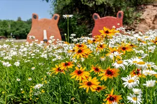 103 Bohn Ct, Lyons, CO 80540 - Photo 46