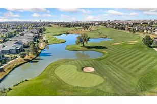 6860 Auburn Hills Dr, Windsor, CO 80550 - Photo 46