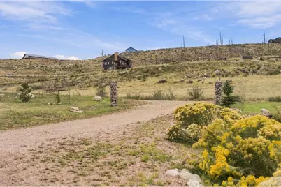 954 Turkey Roost Dr, Livermore, CO 80536 - Photo 30