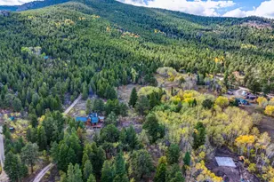 964 Ski Rd, Allenspark, CO 80510 - Photo 44