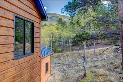964 Ski Rd, Allenspark, CO 80510 - Photo 34