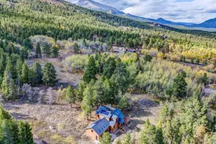 964 Ski Rd, Allenspark, CO 80510 - Photo 38