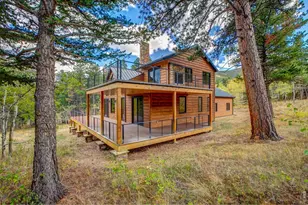 964 Ski Rd, Allenspark, CO 80510 - Photo 4